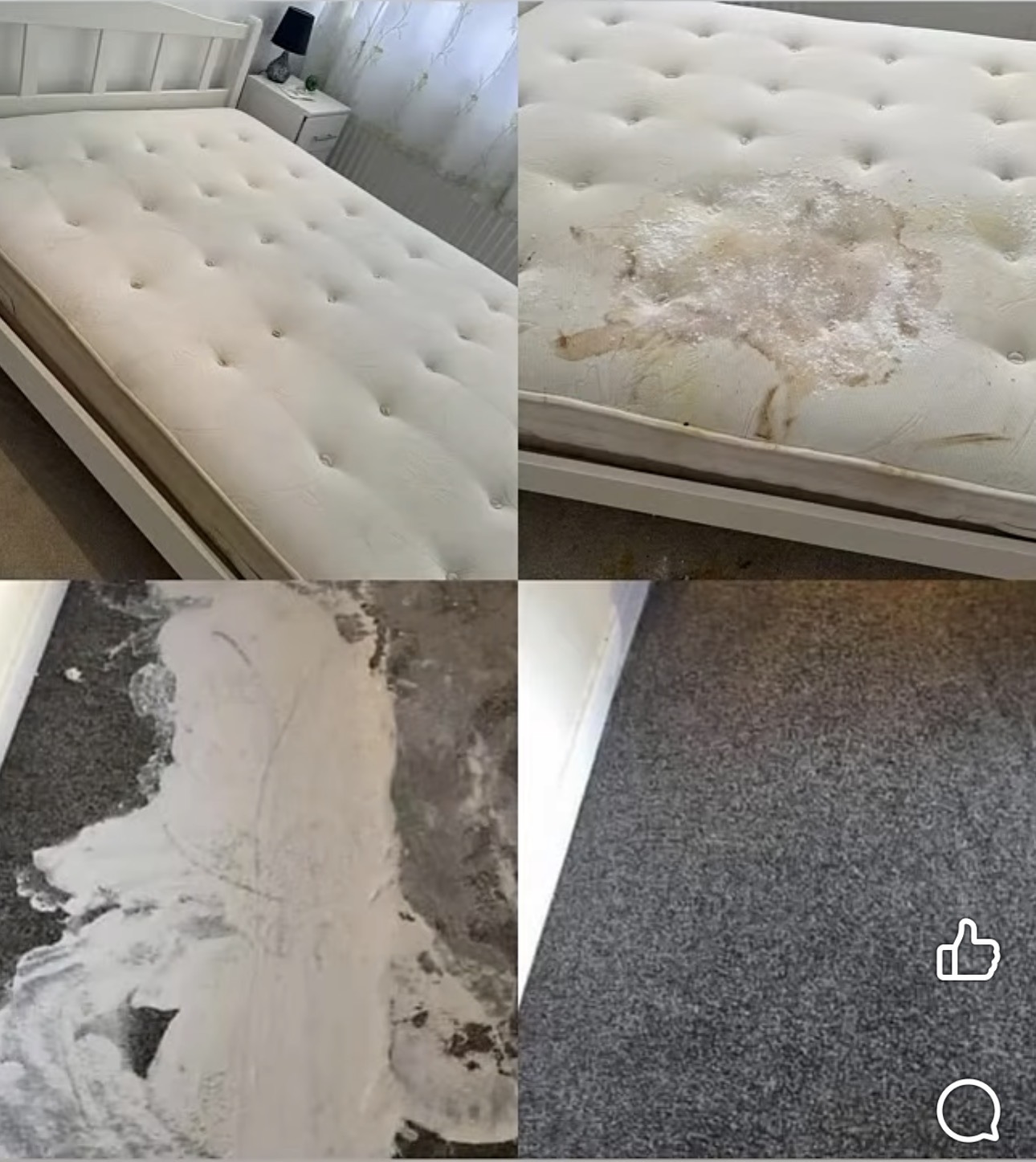 Before and after clean of a stained mattress and bedroom carpet